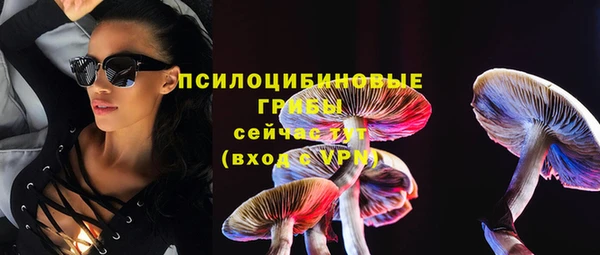 шишки Беломорск