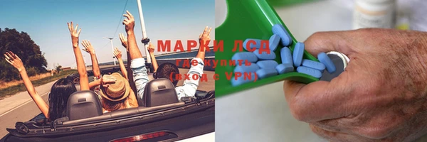шишки Беломорск