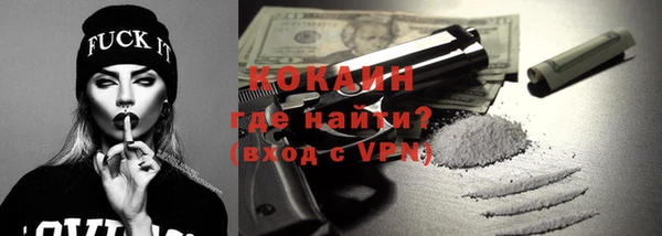 шишки Беломорск