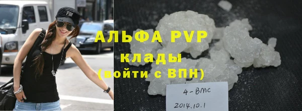 шишки Беломорск