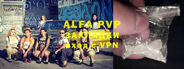 шишки Беломорск
