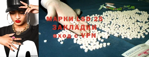 шишки Беломорск