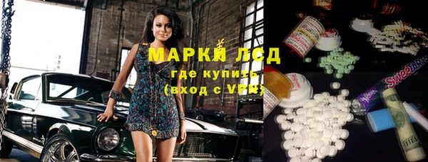 шишки Беломорск