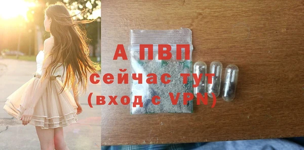 крисы Белокуриха