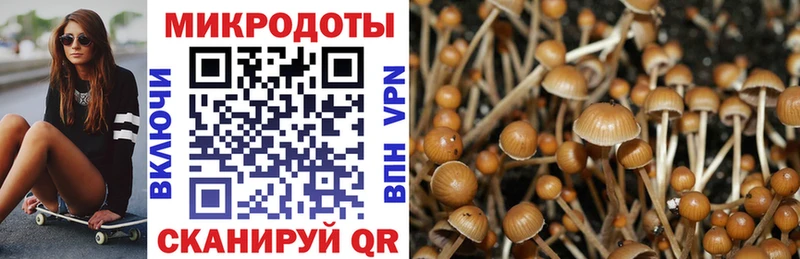 купить   Кемерово  Галлюциногенные грибы мухоморы 